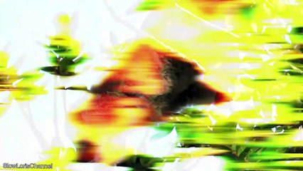 10 Weird Animals You'll Regret Touching !