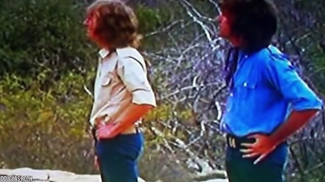 12 Animals Reunited With Owners After Years!