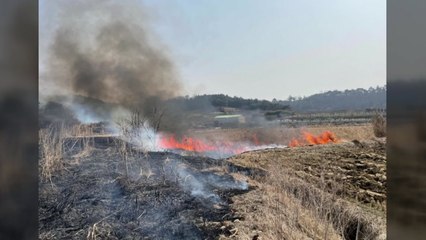 전남 나주 산불...진화 헬기 투입 / YTN