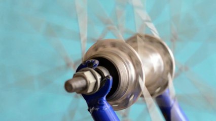 Pexels Videos 1793520.mp4