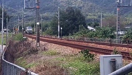 その11 EF66-116 No.11 EF66-116