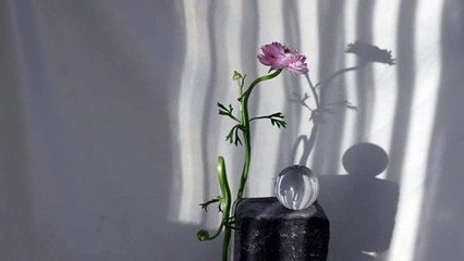 pexels-cup-of-couple-7301691.mp4