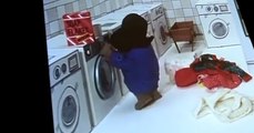 Paddington Tv Series Paddington Tv Series E012 Trouble at the Launderette