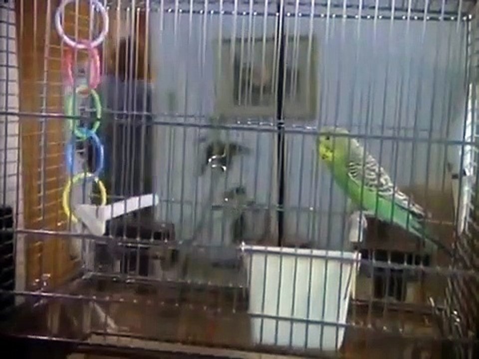 The Twilight Zone - Se9 - Ep09 HD Watch