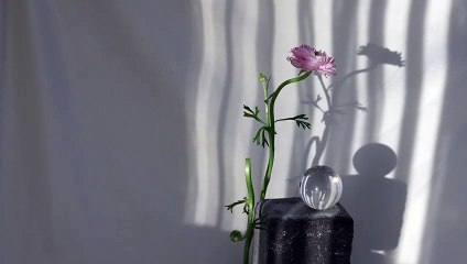 pexels-cup-of-couple-7301691.mp4