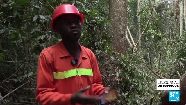 Le Gabon veut limiter sa dépendance au pétrole par l'exploitation durable du bois