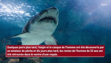 Un pêcheur découvre un avant-bras dans le ventre d’un requin !