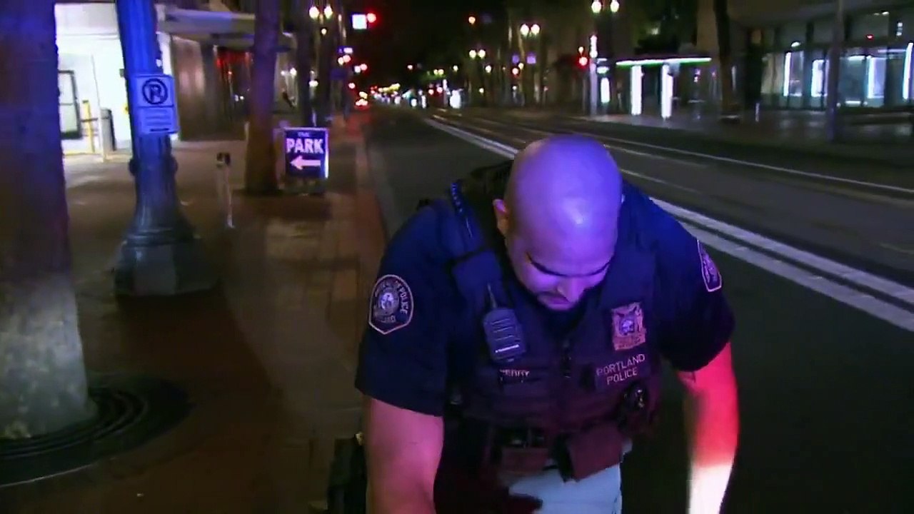 Cops - Se31 - Ep06 - The Facts Of Life HD Watch