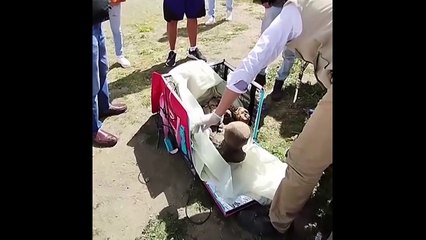 Çantasından 600 yıllık mumya çıktı: "O benim manevi kız arkadaşım"