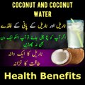 The Ultimate Guide to the Health Benefits of Coconut and Coconut Water | Coconut Health benefits