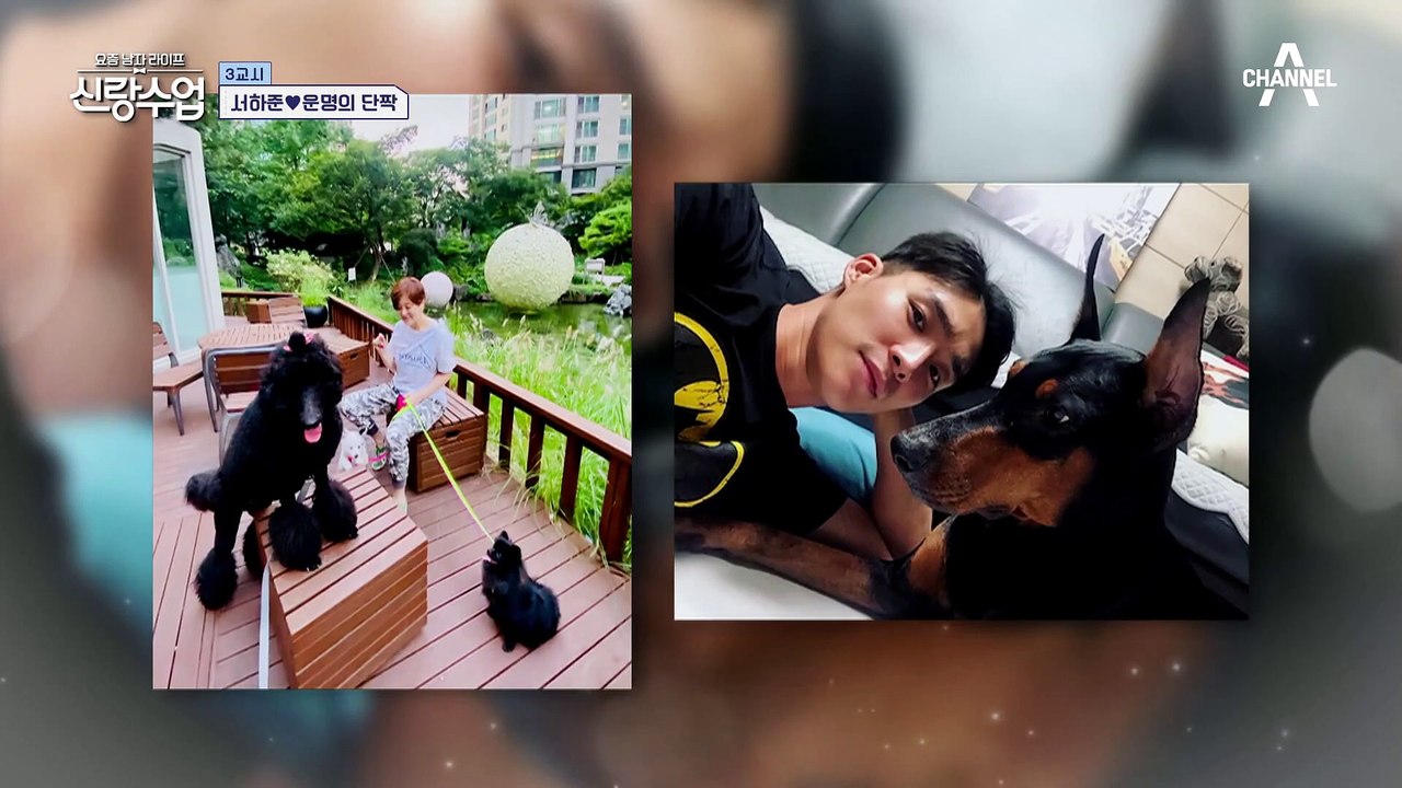 하준이 직접 구조했던 운명의 단짝 반려견 '로키'! 강아지 사랑 남다른 하준의 유기견 봉사♥
