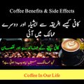 How To Make Coffee | Coffee Benefits And Side Effects | How Coffee Important In Our Life | #coffee