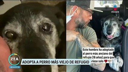 Hombre adopta al perro más viejo de un refugio