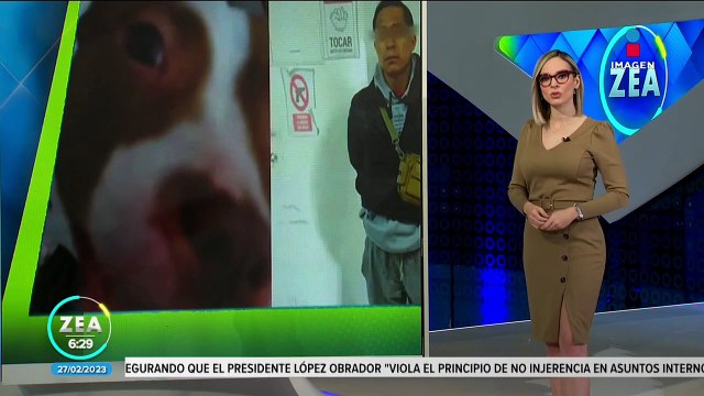 Detienen a hombre por ser el presunto responsable de la muerte de una perrita pitbull