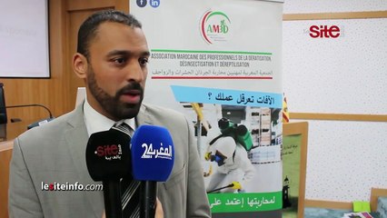 طنجة.. مهنيون يتجندون لمكافحة الجرذان والحشرات والزواحف ويتبادلون تجاربهم مع إسبانيا