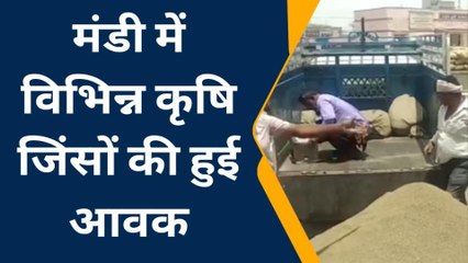 नागोर: मंडी में बढ़ी विभिन्न कृषि जिंसों की आवक, जानिए क्या रहे भाव?