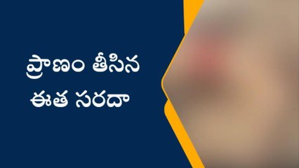 విశాఖటప్నం: ప్రాణం తీసిన ఈత సరదా