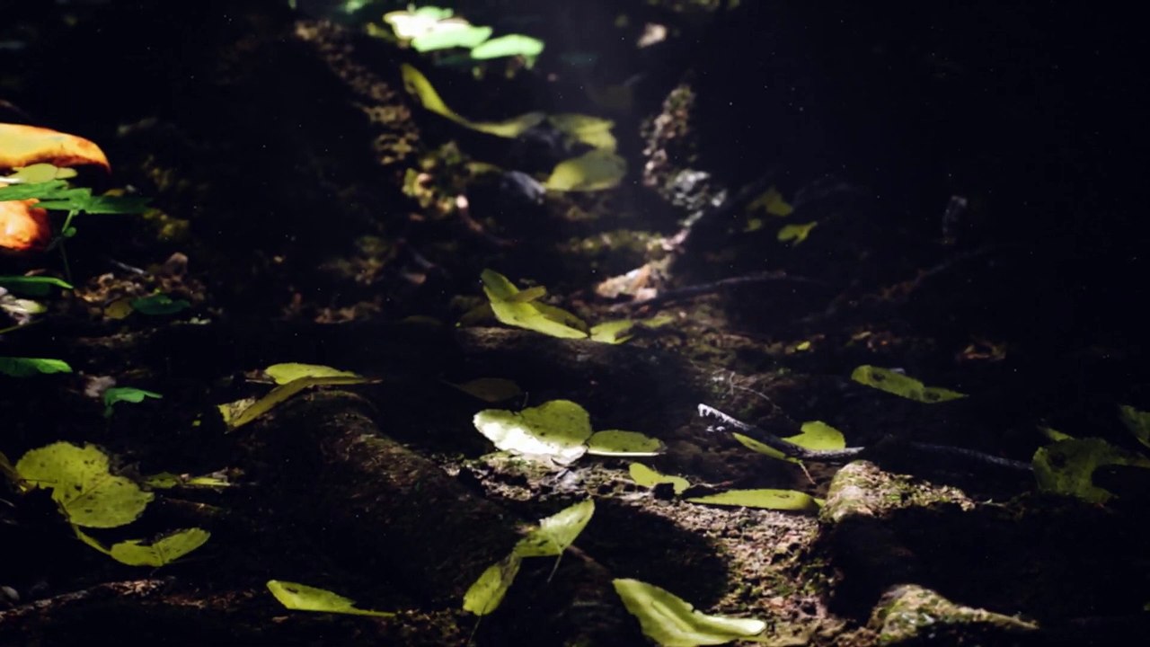 Pax Dei - Reveal-Trailer