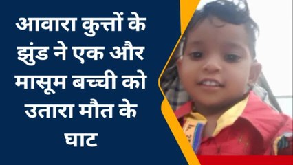 बरेली: दो साल की मासूम बच्ची पर टूट पड़े 20 कुत्ते, 100 मीटर तक घसीटा, हुई दर्दनाक मौत