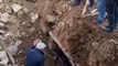 Cavalo resgatado dos escombros na Turquia 21 dias após o sismo
