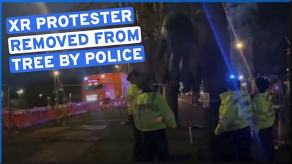 Protester removed from tree in Wellingborough by Northants Police