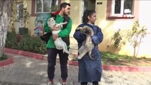 Gaziantep hayvan barınağı depremzede hayvanları sahipleniyor