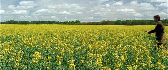 Erbsen auf halb 6 (2004) Filme Deustche HD