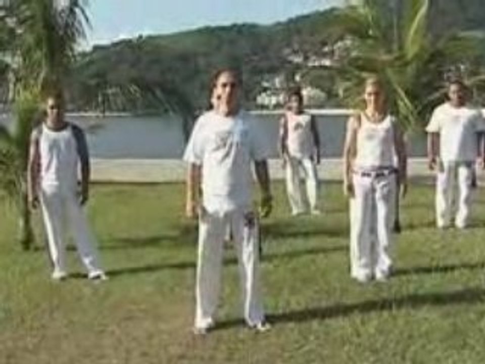 Capoeira : Techniques avancees