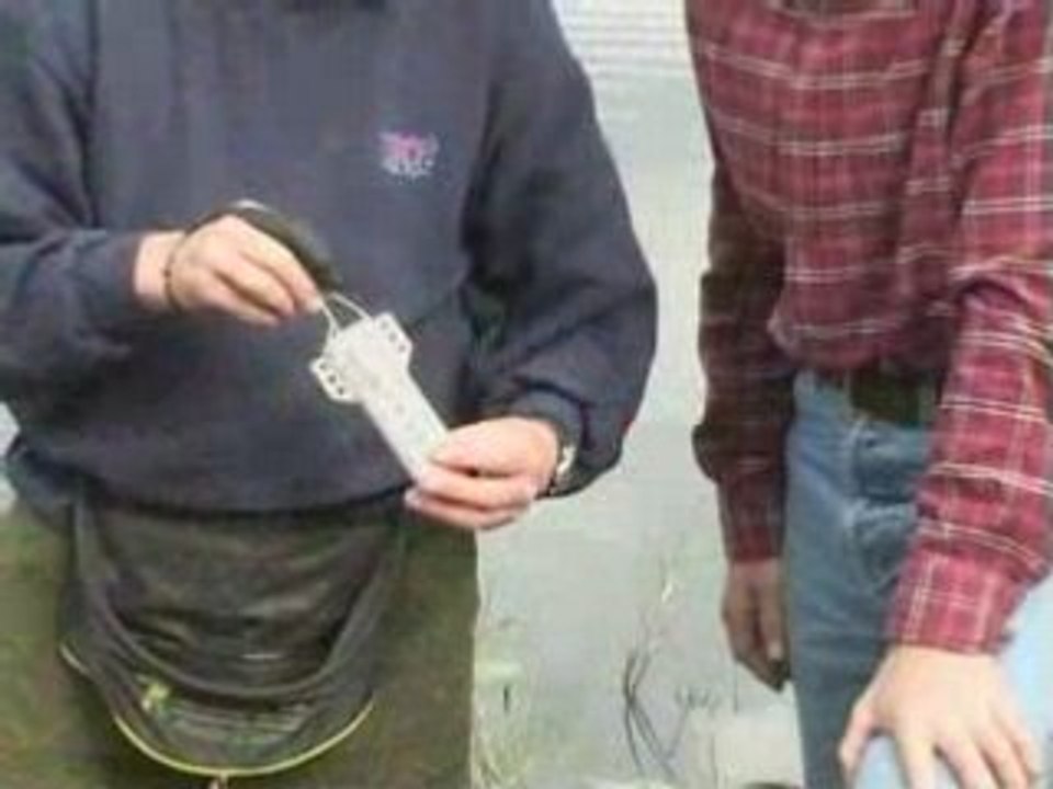 Carp Secrets