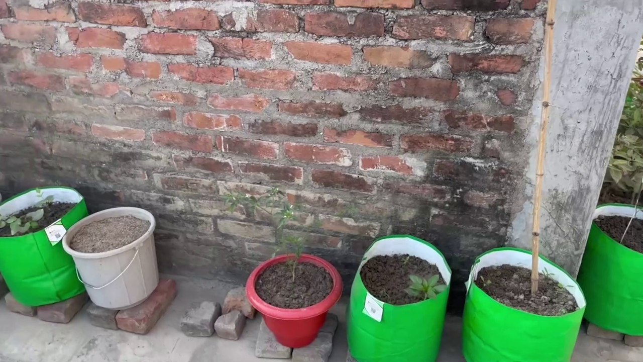 How to prepare garden soil?