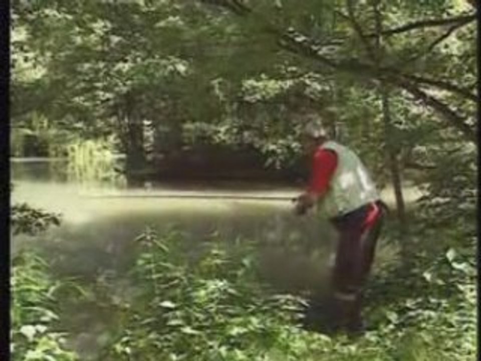 Brochets, Perches, Carpes, Tanches