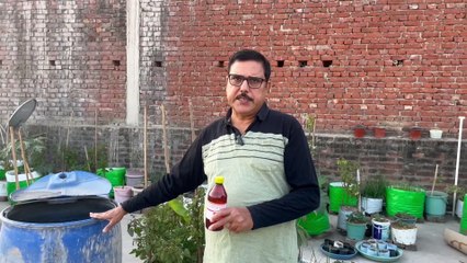 How to use hydrogen peroxide in plant?