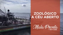 Um passeio pela encantadora fauna da Flórida, nos EUA, com Patty Leone | MALA PRONTA