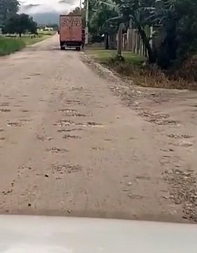 Joinville paralisa obras em Centro de Bem Estar Animal após denúncias de trabalho precário