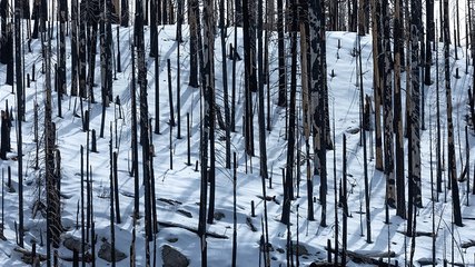 Yosemite National Park closed indefinitely after record-breaking snowfall