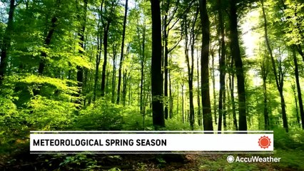 Watch Video How meteorological spring differs from astronomical spring