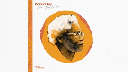 Peter One - Birds Go Die Out Of Sight (Don't Go Home) (Audio)