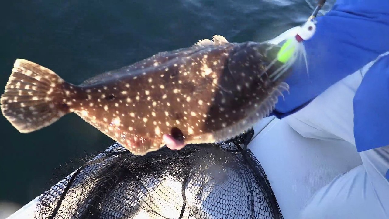 George Poveromos World Of Saltwater Fishing S03E02