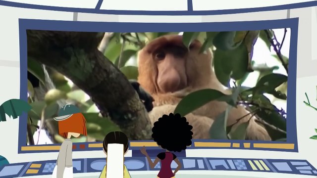 Wild Kratts - Primates, Apes and Monkeys