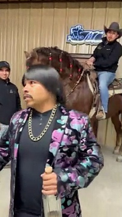 Yo le voy a enseñar a los caballos a dormir.