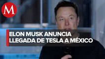 Necesitamos hacer un gran cambio hacia la energía eléctrica: Elon Musk
