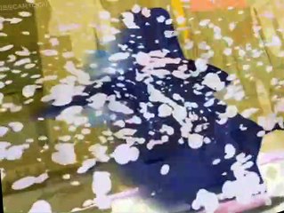 Willa's Wild Life S01 E001-002 - Happy Willa s Dad s Day - Willa s Wild Pony Tale