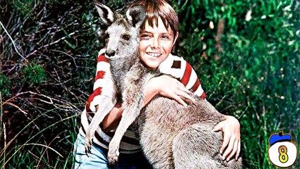 8 Horrifying Experiments With Animal Sperm