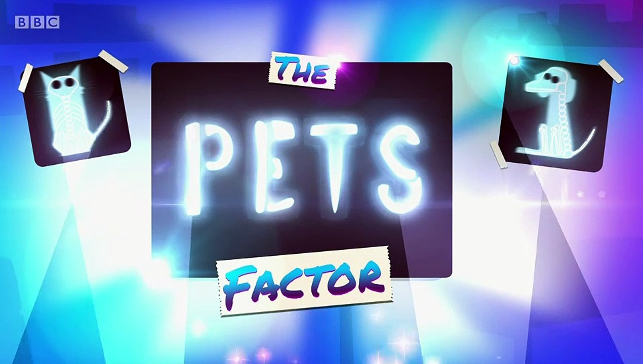 The Pets Factor S03E06 Chas Fifi and Bonnie