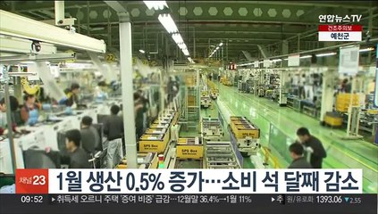1월 생산 0.5% 증가…소비 석 달째 감소