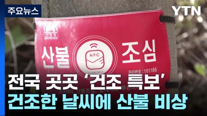 건조경보에 양간지풍까지...전국 산불 '초비상' / YTN