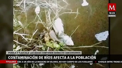 La contaminación de la Cuenca del Río Atoyac afecta a la población; Puebla