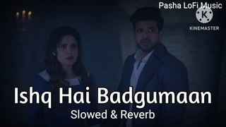 Ishq Hai Badgumaan ( Slowed & Reverb ) Song || Pasha LoFi