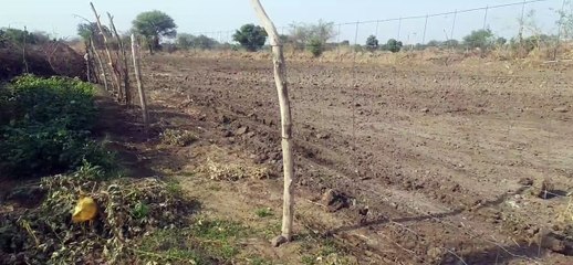अब टीएसपी जिलों में ढाई बीघा के खेतों में भी हो सकेगी तारबंदी
