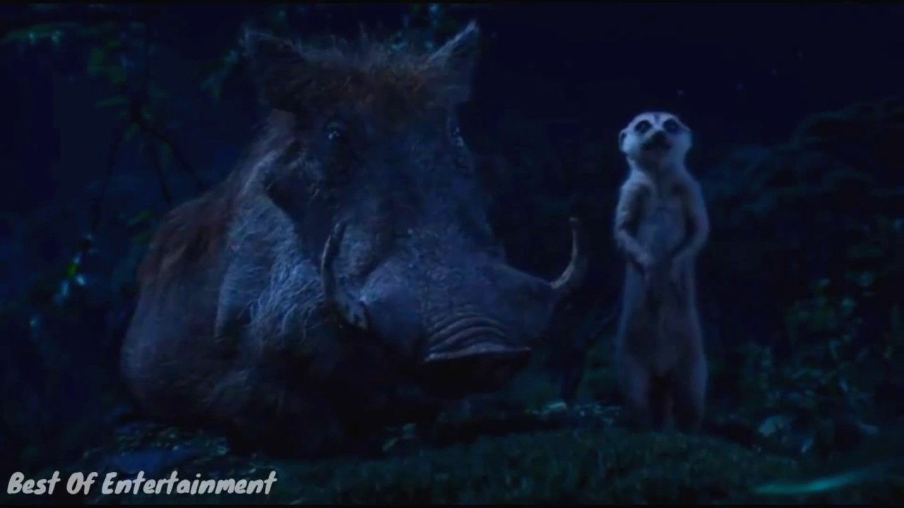 Timon-And-Pumba-Best-Funny-Clips-in-Hind_23